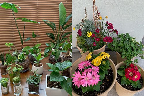 占い師寿々のお気に入り写真1